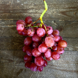 Raisin ruby - Cat I fr provence 