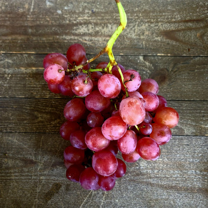 Raisin ruby - Cat I fr provence 