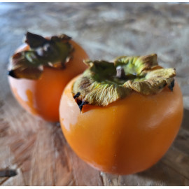 Carotte  bio cat1 fr