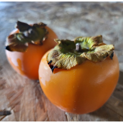 Carotte  bio cat1 fr