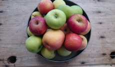 melting pot de pommes