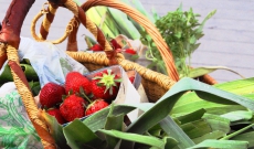 Venez nous rencontrer au Grand Marché le 4 Juillet !