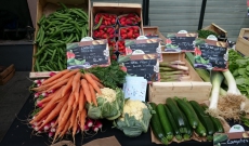 FETE DE LA GASTRONOMIE 