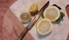  la fête du citron à menton se déroulera du 11 fevrier au 01 mars 2017