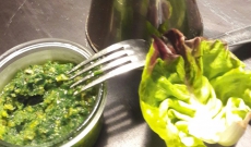 PESTO AIL DES OURS