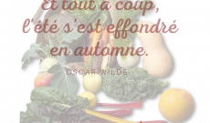 couleurs et senteurs d'automne