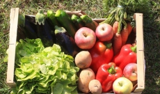 comment utiliser sans gaspiller un panier type de fruits et légumes  à 25 euros