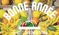 une année haute en couleurs