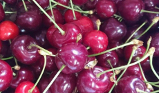 cerises, abricots, melons sont enfin là
